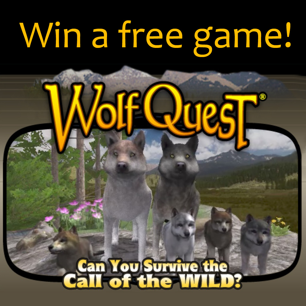 Wolf quest 3 download free